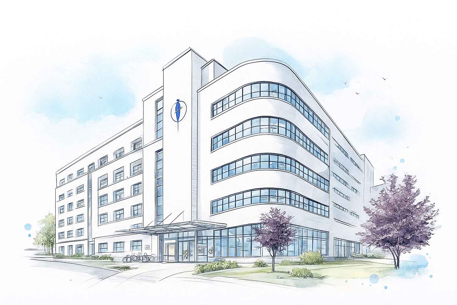 Patty Lee Marketing – digitale Sichtbarkeit für Kliniken und Krankenhäuser